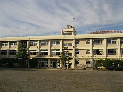大田区立大森第十中学校 550ｍ