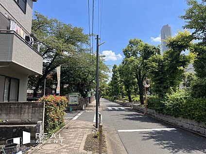 現地前面道路