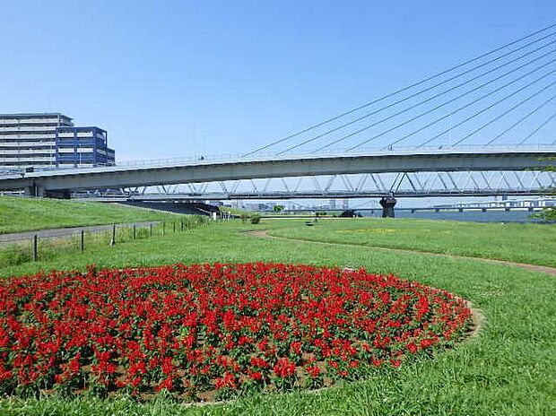 荒川 砂町水辺公園(約350m)