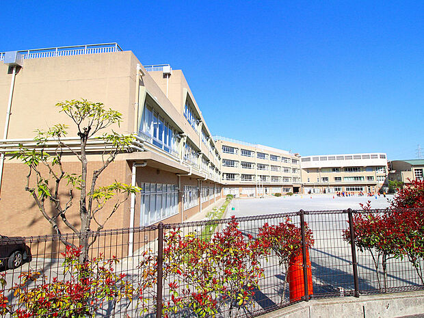 川崎市立橘小学校(約960m)