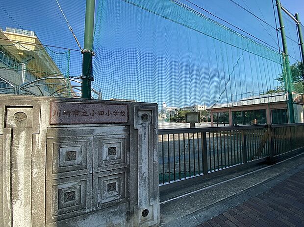 川崎市立小田小学校(約350m)