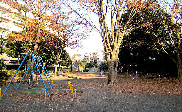 都筑ヶ丘第二公園(約170m)