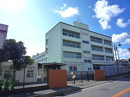 横浜市立川和小学校 1020ｍ(徒歩13分)