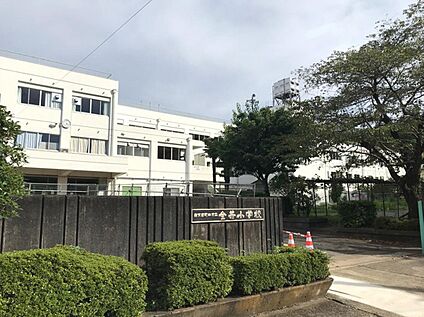町田市立金井小学校 260m(徒歩4分)