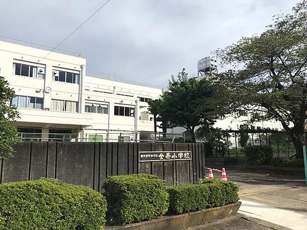 町田市立金井小学校（約260m）
