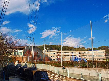 川崎市立柿生小学校 800ｍ(徒歩10分)