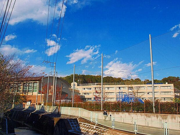 川崎市立柿生小学校(約800m)