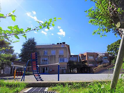川崎市立向丘小学校 600ｍ(徒歩8分)