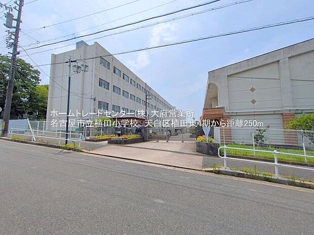 名古屋市立植田小学校まで250m