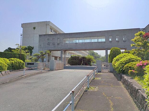 知多市立東部中学校（約1,300m）