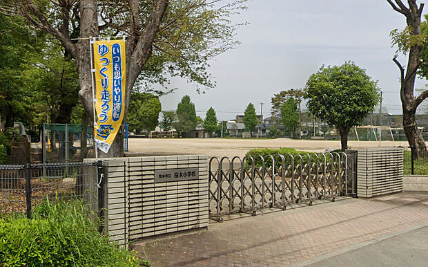 桜木小学校（約650m）