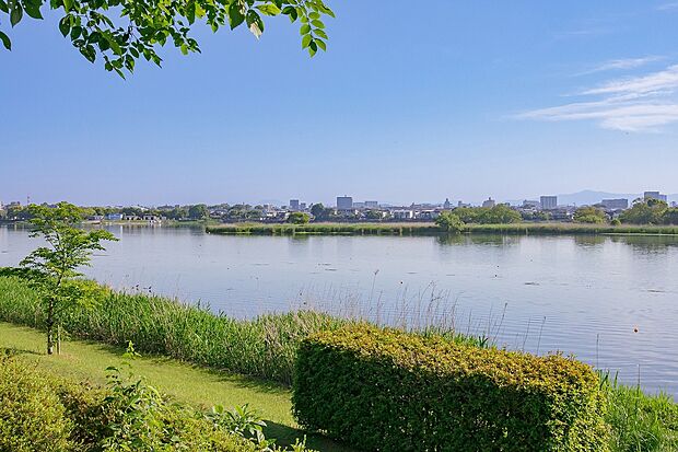 江津湖