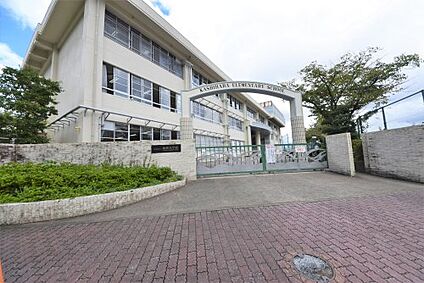 福岡市立柏原小学校 徒歩852m