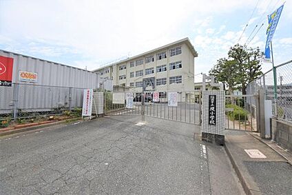福岡市立堤小学校 徒歩667m