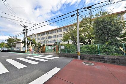 福岡市立東花畑小学校 徒歩787m