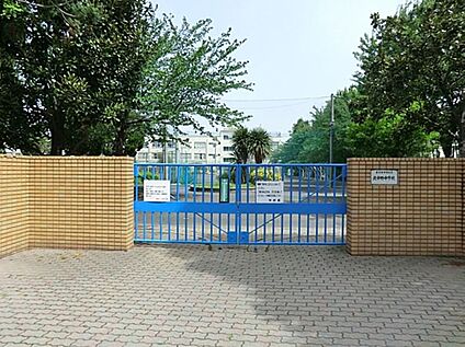 中野区立北中野中学校 592m(徒歩8分)