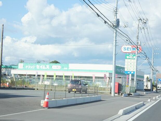 ドラッグセイムス 田沼店