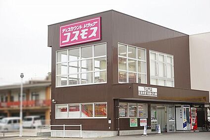ディスカウントドラッグコスモス下山門店 679m