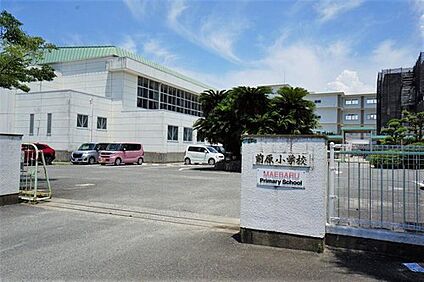 糸島市立前原小学校 270m
