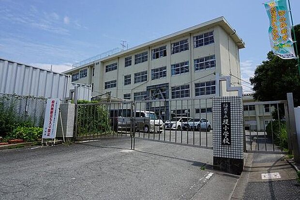 福岡市立堤小学校（約723m）