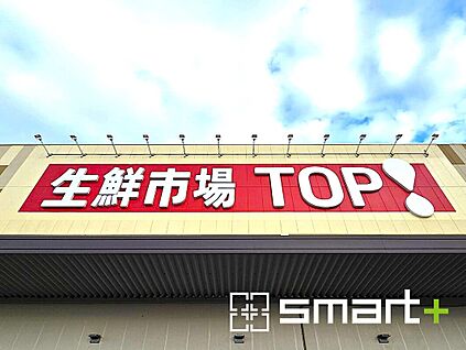 生鮮市場TOP中和倉店 900