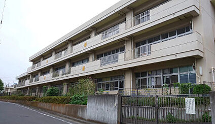 横浜市立富士見台小学校 徒歩556m