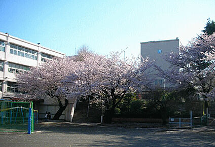 横浜市立菊名小学校 徒歩831m