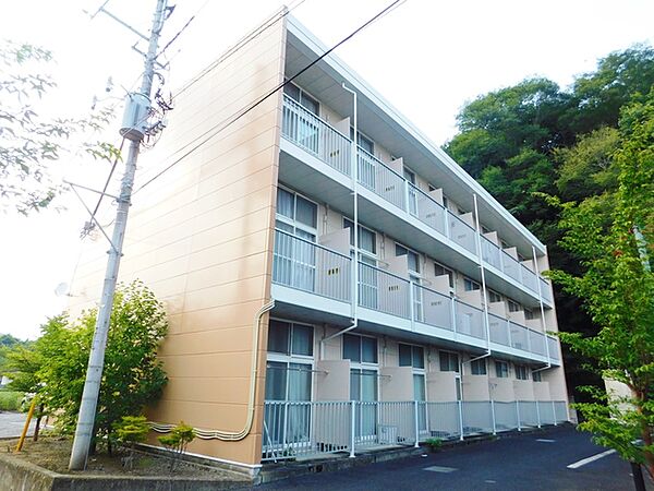 神奈川県厚木市小野(賃貸アパート1K・3階・19.87㎡)の写真 その1