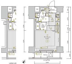 ミライズ新小岩マーロ 10階1Kの間取り
