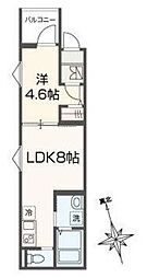 ＭＥＬＤＩＡ東武練馬II 1階1LDKの間取り