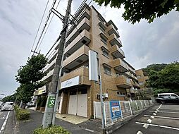 シャトルブラウンＡ 210