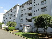 浅香山住宅９号棟 4階 築56年5ヶ月の賃貸物件