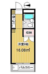 メゾン舟和 1階1Kの間取り