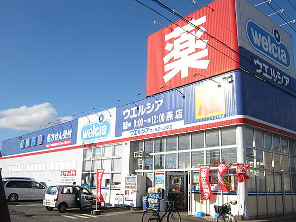 画像23:ウエルシア燕店 591m