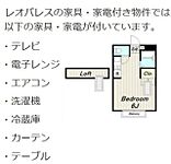 レオパレスラフィネ(11250)のイメージ