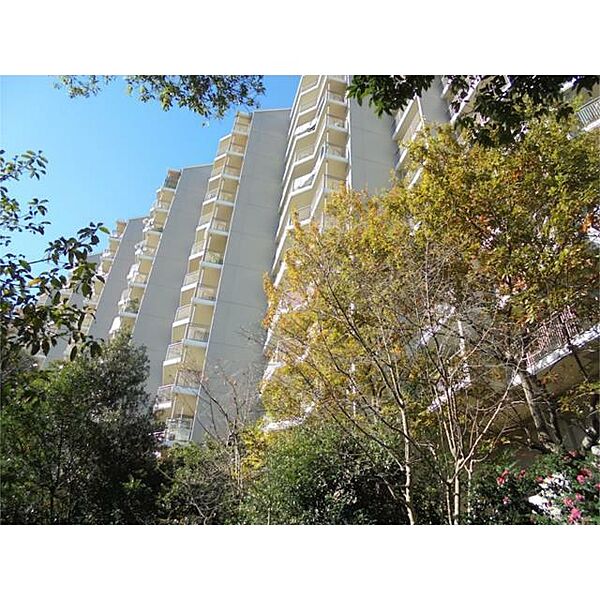 向陽台小学校（稲城市）の詳細情報（学区など） こそだてオウチーノ