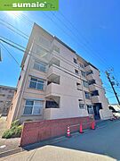 ニューハイツ光陽B棟 1階 築45年8ヶ月の賃貸物件