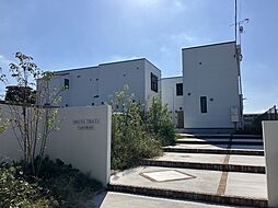 ソルナクレイシア成増