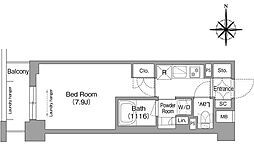 メトロステージPLUS中野弥生町 1階1Kの間取り