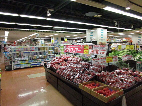 桜プレイスアネックス_周辺_4