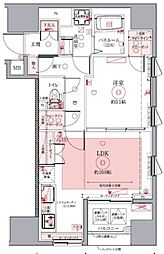 ドムス・スタイル銀座東 1LDKの間取図画像