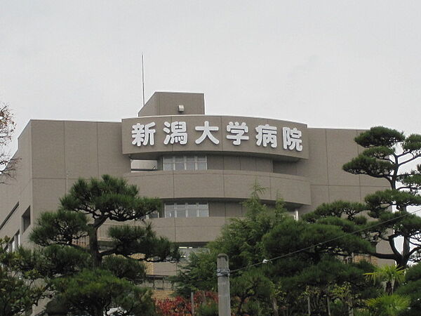 画像25:新潟大学医歯学総合病院 840m