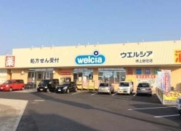 ウエルシア堺上野芝店 419m