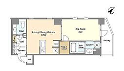 ウィルテラス滝野川 3階1LDKの間取り