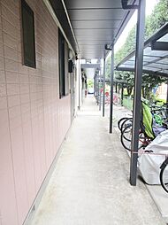5 / 14