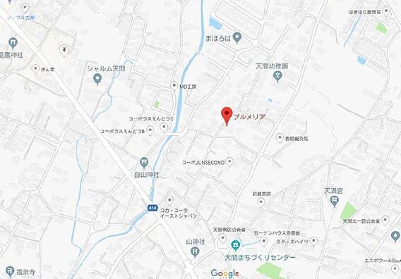 プルメリア_その他_2