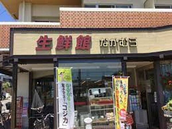 画像20:生鮮館なかむら上賀茂店 2921m