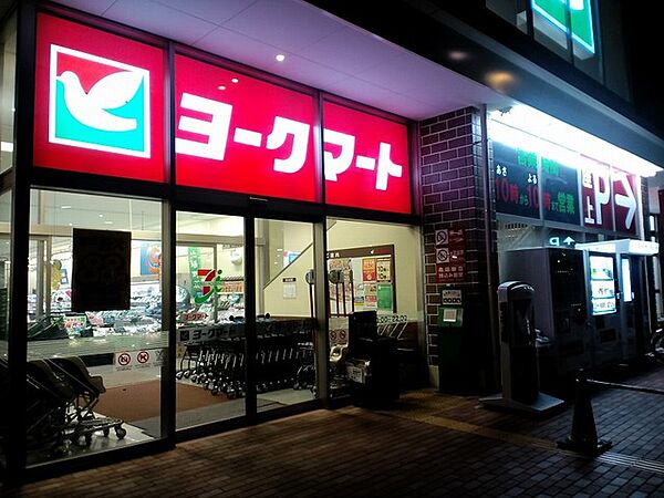 画像25:ヨークマート厚木妻田店 460m