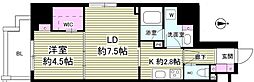 MYRIARESIDENCE根岸柳通り 1LDKの間取図画像