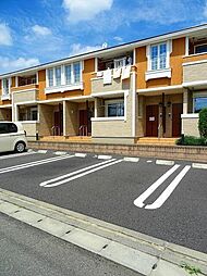 マンダリン ダック